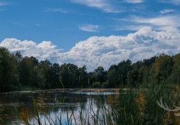 Malerische Oberlausitzer Teichlandschaft
