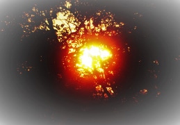 Abendliche Sonnenauge in Cunewalde