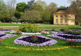Am Palais im Großer Garten Dresden