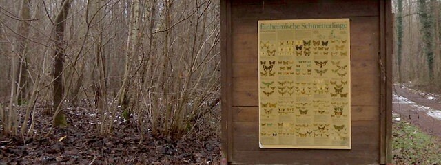 Neben einem Waldweg steht ein Schild mit der Aufschrift "Einheimische Schmetterlinge"