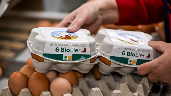 Verpackte Bio-Eier