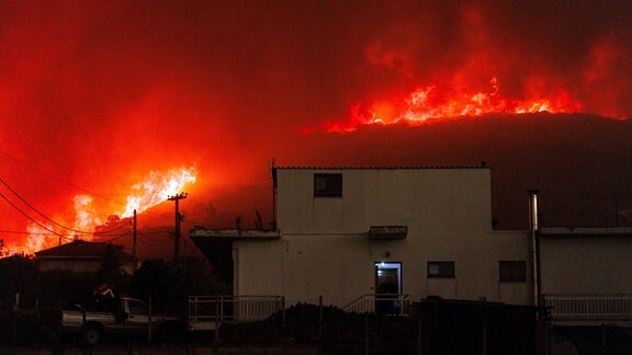 Waldbrand in der nordöstlichen Region Evros in Griechenland.