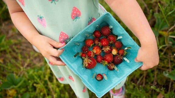 Mädchen hält Erdbeeren