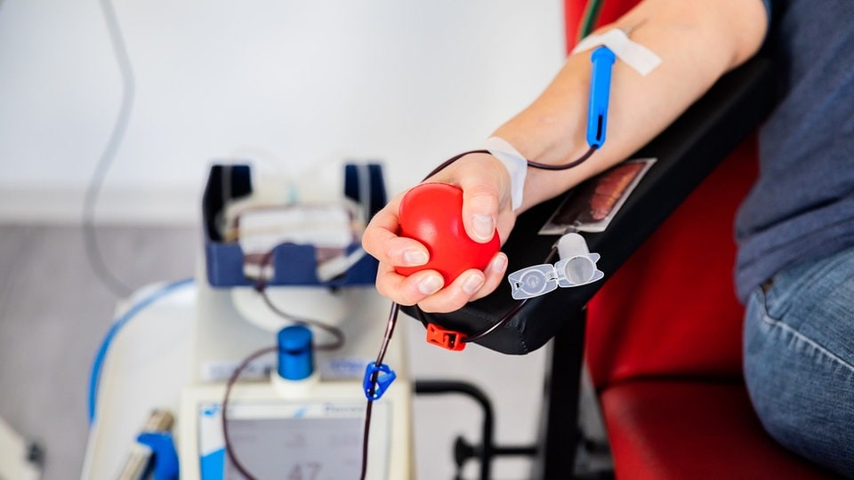 Donazione di sangue, donazione di plasma, donazione di piastrine, donazione di sangue autologo: chi può fare cosa?