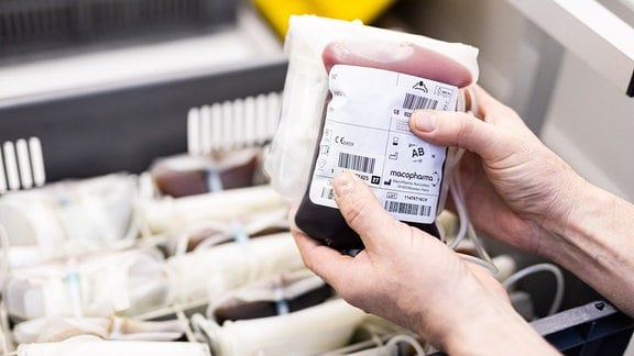 Ein Mitarbeiter vom DRK-Blutspendedienst (Deutsches Rotes Kreuz) hält eine Vollblut-Konserve in seinen Händen. In der Box im Hintergrund lagern weitere Konserven.