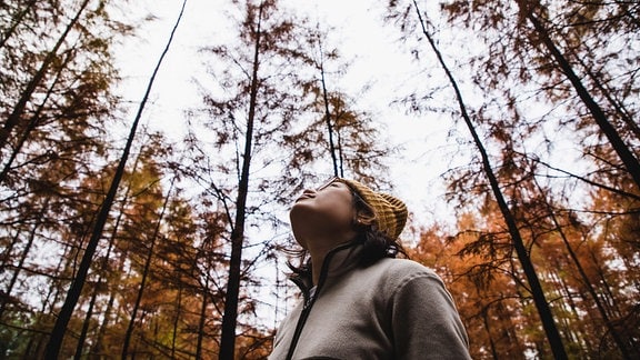 Asiatische Frau genießt Natur in einem Zypressenwald