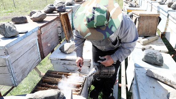 Imker arbeitet 2019 an seinen Bienenbeuten.