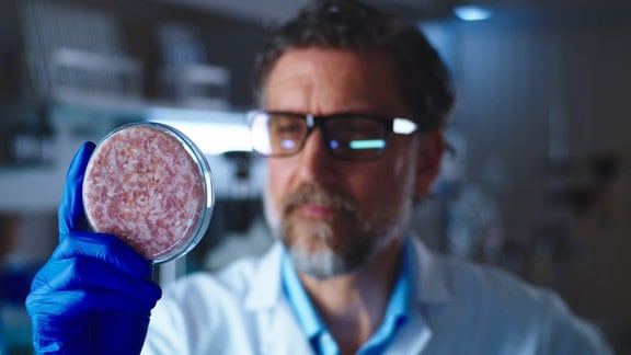 Ein Wissenschaflter betrachtet eine Petrischale mit In-Vitro-Fleisch