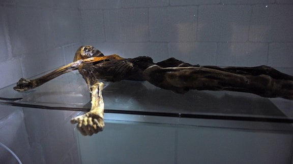 Gletscher-Mumie im Südtiroler Archäologiemuseum in Bozen - Ötzi in der Kältekammer