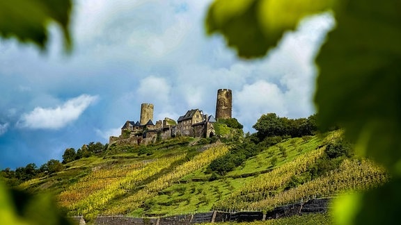 Burg Thurant in der Weinbauregion an der Mosel 