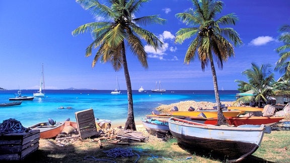 Boote und Palmen an einem Strand