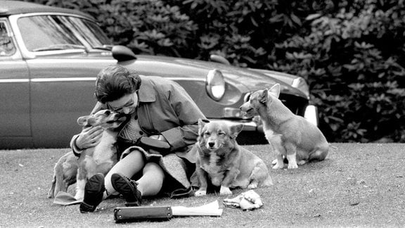Die britische Königin Elizabeth II. streichelt am 12.05.1973 in Windsor (Großbritannien) ihre Hunde