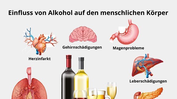 Einfluss von Alkohol auf den menschlichen Körper