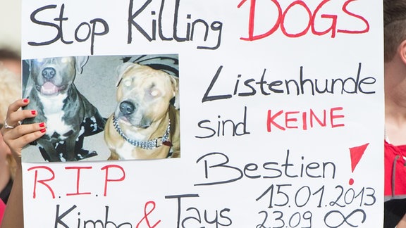Protestplakat, nachdem Polizisten zwei American Staffordshire Terrier erschossen haben