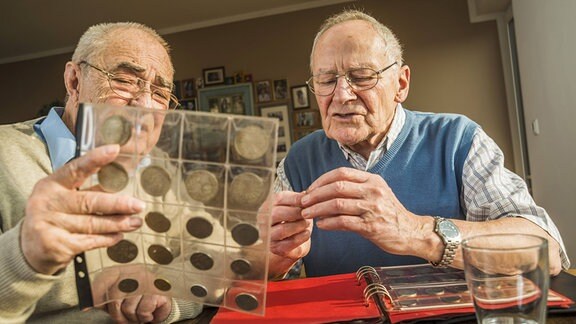 Zwei Senioren mit einem Münzsammelalbum