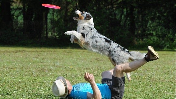 Ein Mann liegt auf der Wiese und ein Hund springt drüber