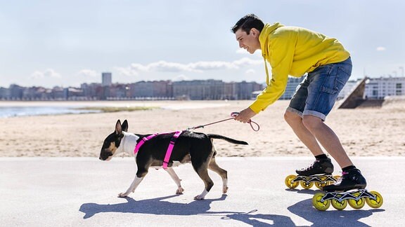 Ein Hund zieht einen Mann auf Skates