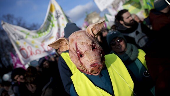 Ein Demonstrant mit Kostüm Schwein zum Thema Schweinezucht