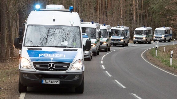 Polizeifahrzeuge stehen auf einer Landstraße in einem Waldstück bei Storkow.