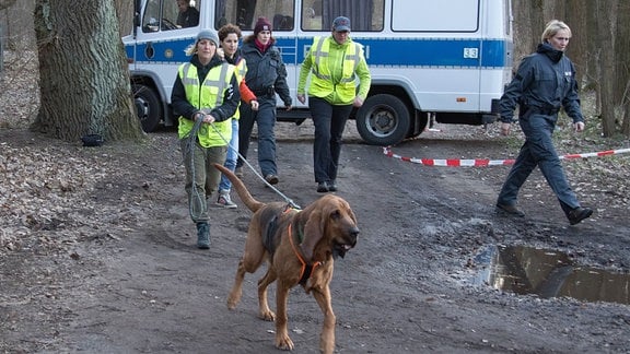 Einsatzkräfte der Polizei mit Fährtenspürhund suchen ein Waldstück ab.