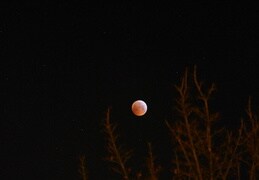 Nachthimmel mit Blutmond