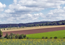 Vogtländische Landschaft im Mai