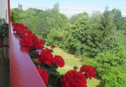 Geranien - die beliebtesten Balkonblumen
