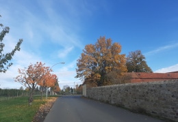Herbstspaziergang in Röhrsdorf