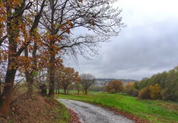 November im Vogtland