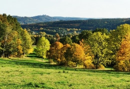 Herbstlicher Blick auf die Augustusburg 
