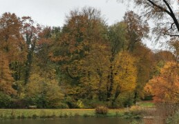 Herbst in Bad Muskau 