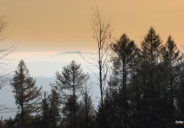  Ein Nebelmeer- Blick vom Czorneboh über das Cunnewalder Tal zum Bieleboh