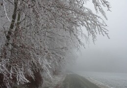 November 2020 - böhmischer Nebel