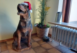 Unsere Susi wartet auf den Nikolaus 
