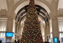 Der Weihnachtsbaum am Hauptbahnhof Dresden