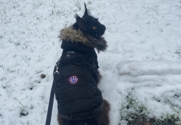Odin sein erster Schnee 