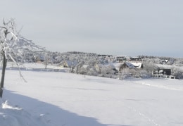 Winter in Zinnwald