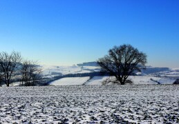 Winterwunderland bei Kreischa