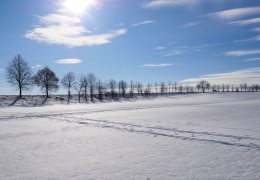 Winterwunder im Schönfelder Hochland