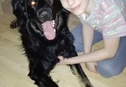 Unser Familienhund Balu mit Sohnemann Tom