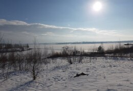 Winter am Zwenkauer See 