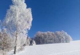 Wintermorgen in Erlbach-Kirchberg