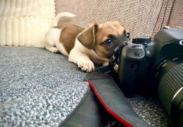 Egon liebt die Kamera