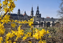 Der Frühling hält Einzug in Dresden. 