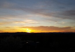 Sonnenaufgang in Borthen (Dohna)
