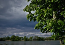 Am Teich in Malschwitz