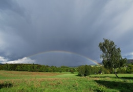 Regenbogen bei Cunewalde