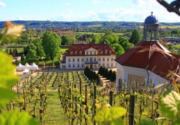 Blick auf Schloss Wackerbarth