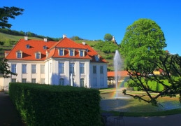 Blick auf Schloss Wackerbarth