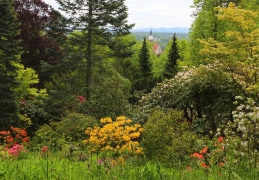 Rhododendronpark Hutberg Kamenz
